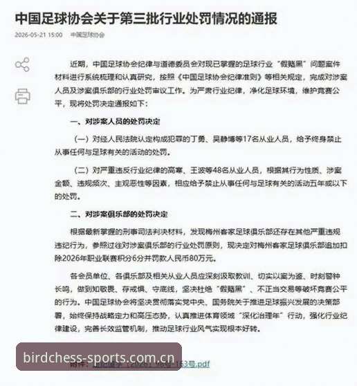 资深用户分享：足协第三批禁足名单深度解析，从实战角度看清中国足球整顿风暴