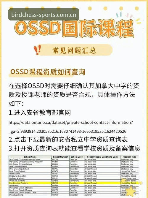 小鸟棋牌体育安卓版常见问题深度评测：新手避坑指南与全面解答